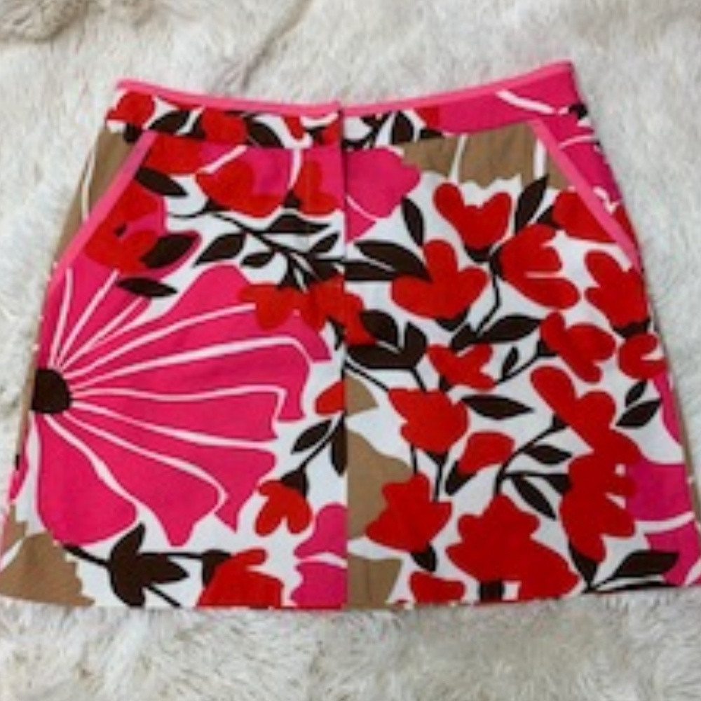 J Crew Skirt